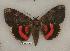  ( - 054-32-020603-TX)  @14 [ ] Copyright (2008) Unspecified Research Collection of Robert J. Borth