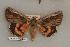  ( - 073-50-010780-NJ)  @14 [ ] Copyright (2008) Unspecified Research Collection of Robert J. Borth
