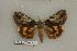  ( - 077-58-020798-MI)  @15 [ ] Copyright (2008) Unspecified Research Collection of Robert J. Borth