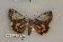  ( - 078-58-230793-WI)  @13 [ ] Copyright (2008) Unspecified Research Collection of Robert J. Borth