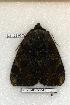  ( - 351-32-060506-FL)  @12 [ ] Copyright (2008) Unspecified Research Collection of Robert J. Borth