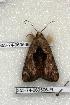  ( - 353-74-060506-FL)  @12 [ ] Copyright (2008) Unspecified Research Collection of Robert J. Borth