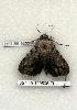  ( - 357-55-120506-FL)  @13 [ ] Copyright (2008) Unspecified Research Collection of Robert J. Borth