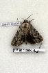  ( - 358-69-230506-FL)  @13 [ ] Copyright (2008) Unspecified Research Collection of Robert J. Borth