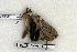  ( - 366-56-150506-FL)  @13 [ ] Copyright (2008) Unspecified Research Collection of Robert J. Borth