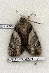  ( - 370-32-110506-FL)  @12 [ ] Unspecified (default): All Rights Reserved  Unspecified Unspecified