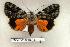 ( - 096-78-250504-TX)  @14 [ ] Copyright (2008) Unspecified Research Collection of Robert J. Borth