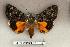  ( - 105-78-260504-TX)  @13 [ ] Copyright (2008) Unspecified Research Collection of Robert J. Borth