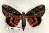  ( - 109-79-160906-WI)  @12 [ ] Copyright (2008) Unspecified Research Collection of Robert J. Borth
