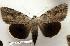  ( - 121-80-160802-IN)  @12 [ ] Copyright (2008) Unspecified Research Collection of Robert J. Borth