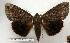  ( - 127-84-170895-IN)  @14 [ ] Copyright (2008) Unspecified Research Collection of Robert J. Borth
