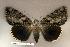  ( - 139-89-080802-MO)  @12 [ ] Copyright (2008) Unspecified Research Collection of Robert J. Borth