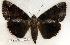  ( - 148-94-040602-FL)  @12 [ ] Copyright (2008) Unspecified Research Collection of Robert J. Borth