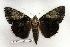  ( - 150-94-150801-IN)  @13 [ ] Copyright (2008) Unspecified Research Collection of Robert J. Borth