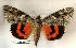  ( - 169-04-160802-IN)  @14 [ ] Copyright (2008) Unspecified Research Collection of Robert J. Borth