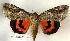  ( - 170-04-140801-IN)  @14 [ ] Copyright (2008) Unspecified Research Collection of Robert J. Borth