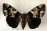  ( - 149-94-040602-FL)  @13 [ ] Copyright (2008) Unspecified Research Collection of Robert J. Borth