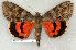 ( - 187-25-070603-TX)  @14 [ ] Copyright (2008) Unspecified Research Collection of Robert J. Borth