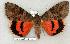  ( - 188-25-260904-AZ)  @14 [ ] Copyright (2008) Unspecified Research Collection of Robert J. Borth