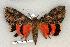  ( - 189-29-270603-UT)  @13 [ ] Copyright (2008) Unspecified Research Collection of Robert J. Borth