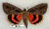  ( - 198-34-120802-IN)  @13 [ ] Unspecified (default): All Rights Reserved  Unspecified Unspecified