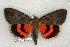  ( - 201-34-120802-IN)  @14 [ ] Copyright (2008) Unspecified Research Collection of Robert J. Borth