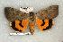 ( - 211-40-160602-MO)  @14 [ ] Copyright (2008) Unspecified Research Collection of Robert J. Borth