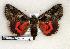  ( - 232-54-240705-CA)  @14 [ ] Copyright (2008) Unspecified Research Collection of Robert J. Borth