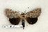  ( - 235-56-160504-TX)  @13 [ ] Copyright (2008) Unspecified Research Collection of Robert J. Borth