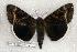  ( - 271-73-030506-FL)  @13 [ ] Unspecified (default): All Rights Reserved  Unspecified Unspecified