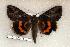  ( - 274-74-050506-FL)  @13 [ ] Unspecified (default): All Rights Reserved  Unspecified Unspecified