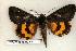 ( - 283-75-030900-WI)  @14 [ ] Copyright (2008) Unspecified Research Collection of Robert J. Borth