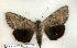  ( - 285-81-020702-TN)  @14 [ ] Copyright (2008) Unspecified Research Collection of Robert J. Borth