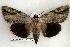  ( - 293-93-160802-IN)  @14 [ ] Unspecified (default): All Rights Reserved  Unspecified Unspecified