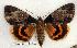  ( - 297-96-110702-KY)  @14 [ ] Copyright (2008) Unspecified Research Collection of Robert J. Borth
