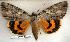  ( - 299-97-070802-KY)  @13 [ ] Copyright (2008) Unspecified Research Collection of Robert J. Borth