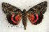  ( - 300-00-110703-UT)  @14 [ ] Copyright (2008) Unspecified Research Collection of Robert J. Borth