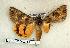  ( - 323-36-270603-UT)  @13 [ ] Copyright (2008) Unspecified Research Collection of Robert J. Borth