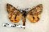  ( - 324-37-120603-TX)  @13 [ ] Copyright (2008) Unspecified Research Collection of Robert J. Borth