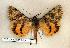  ( - 325-37-120603-TX)  @13 [ ] Copyright (2008) Unspecified Research Collection of Robert J. Borth