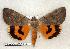  ( - 329-40-060602-OK)  @14 [ ] Copyright (2008) Unspecified Research Collection of Robert J. Borth
