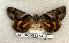  ( - 330-58-280688-VA)  @14 [ ] Copyright (2008) Unspecified Research Collection of Robert J. Borth