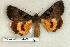  ( - 333-43-090794-WI)  @14 [ ] Copyright (2008) Unspecified Research Collection of Robert J. Borth