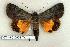  ( - 337-45-010604-TX)  @14 [ ] Copyright (2008) Unspecified Research Collection of Robert J. Borth