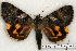  ( - 475-00-160704-JA)  @14 [ ] Unspecified (default): All Rights Reserved  Unspecified Unspecified