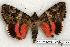  ( - 484-00-220787-SP)  @13 [ ] Copyright (2008) Unspecified Research Collection of Robert J. Borth