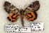  ( - 378-COI-06)  @13 [ ] Copyright (2008) Unspecified Research Collection of Robert J. Borth
