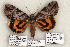  ( - 379-COI-06)  @13 [ ] Copyright (2008) Unspecified Research Collection of Robert J. Borth