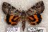  ( - 385-COI-06)  @13 [ ] Copyright (2008) Unspecified Research Collection of Robert J. Borth