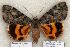  ( - 387-COI-06)  @12 [ ] Copyright (2008) Unspecified Research Collection of Robert J. Borth